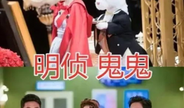 娱乐圈团宠心声吃瓜文,揭秘明星背后的真实生活与心酸历程